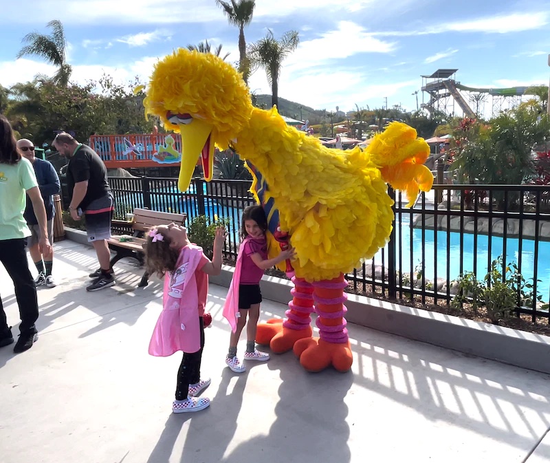 Beaudry Interactive big bird