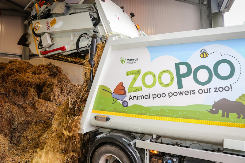 Zoo Poo marwell wildlife