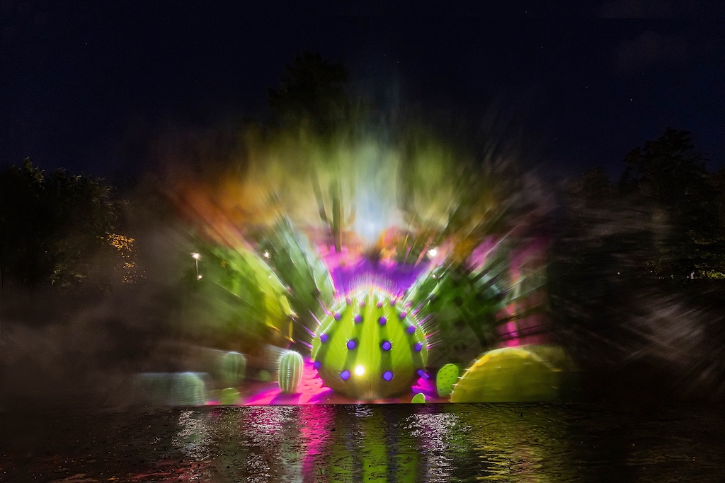Cactus Projection