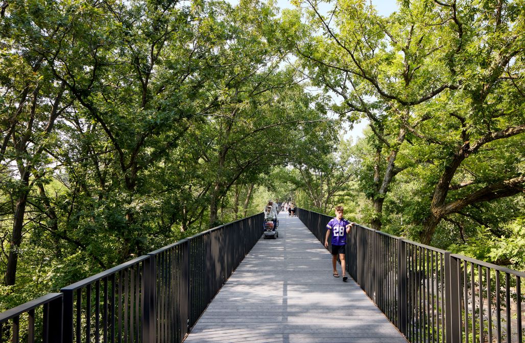 Treetop Trail - track 2023