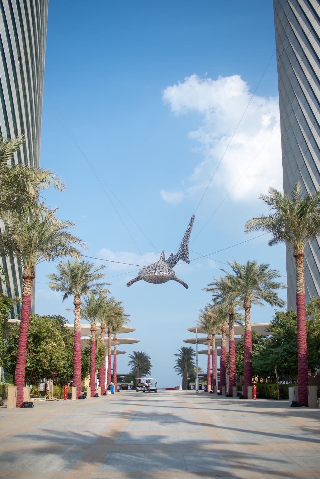 WhaleShark Icon blue sky