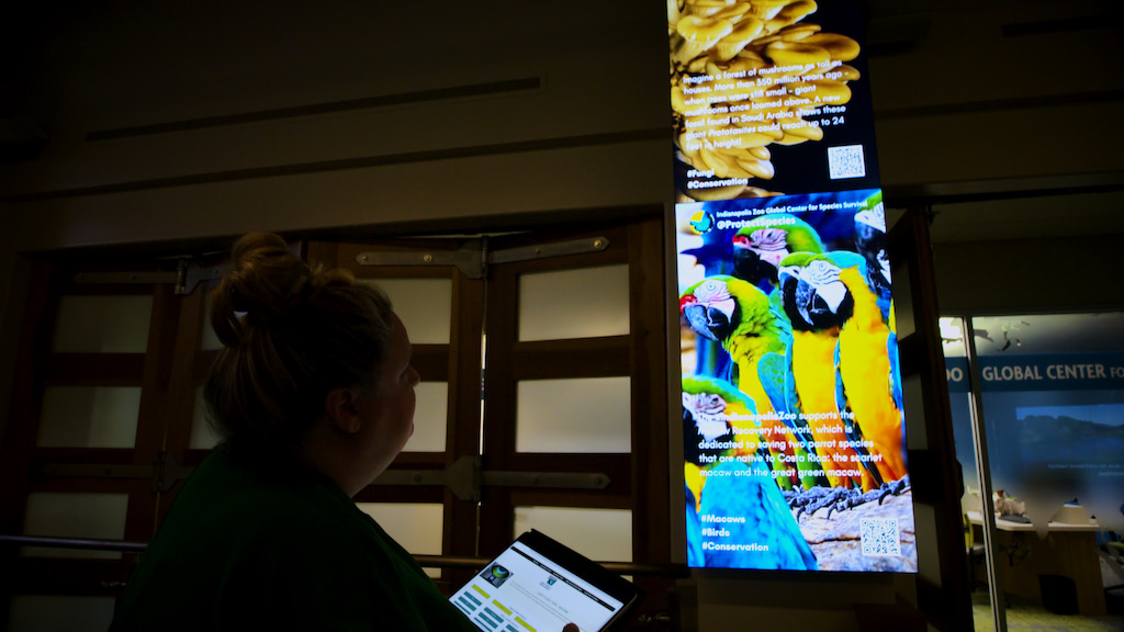 Elumenati Information Flat Screen