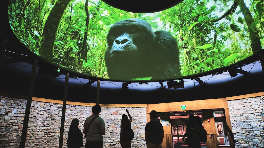 Elumenati Monkey close up projection