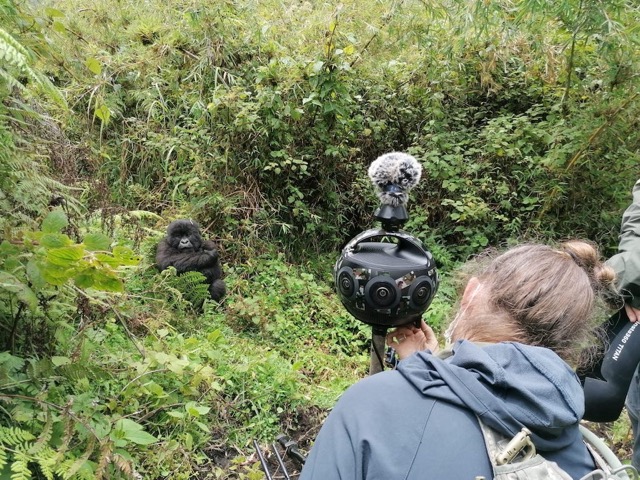 Immotion Gorilla Trek behind the scenes