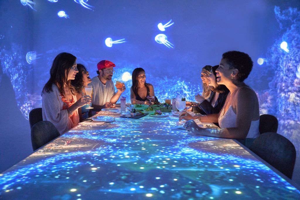 Our Ocean Our Future - projections on table