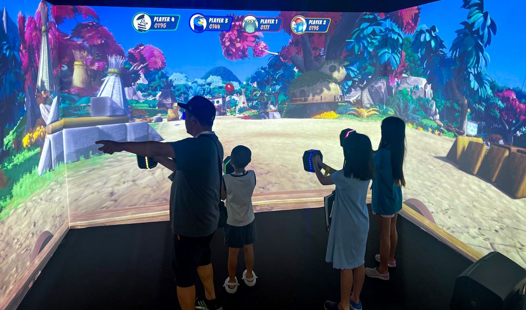 Pigvasion PLAYNEO - family play together