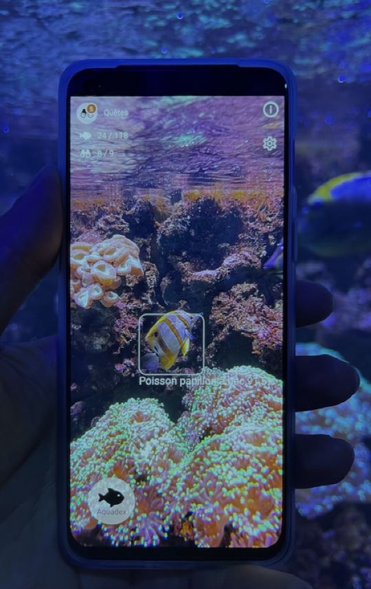 SEASCAN on iphone