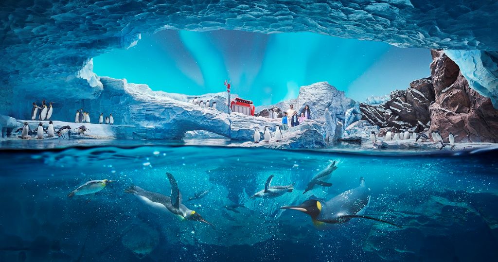 SeaWorld Abu Dhabi - Antarctica