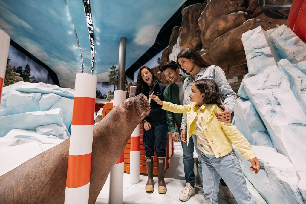 SeaWorld Abu Dhabi - Arctic Encounter