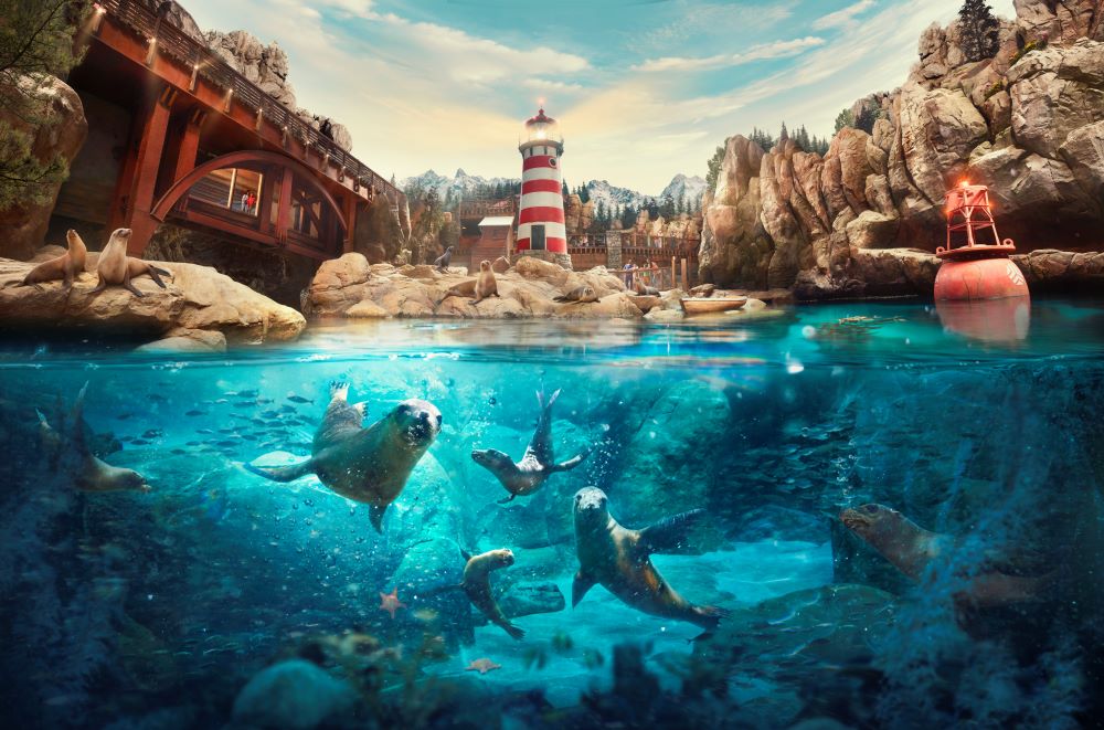 SeaWorld Abu Dhabi - Rocky Point