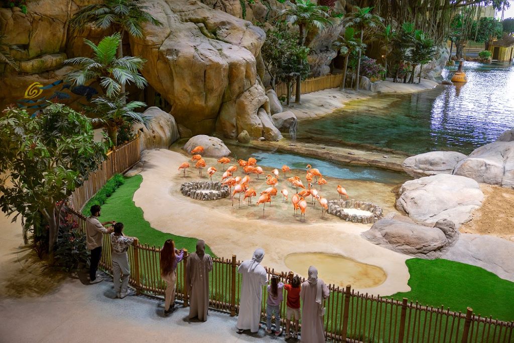 SeaWorld Abu Dhabi - Tropical Ocean