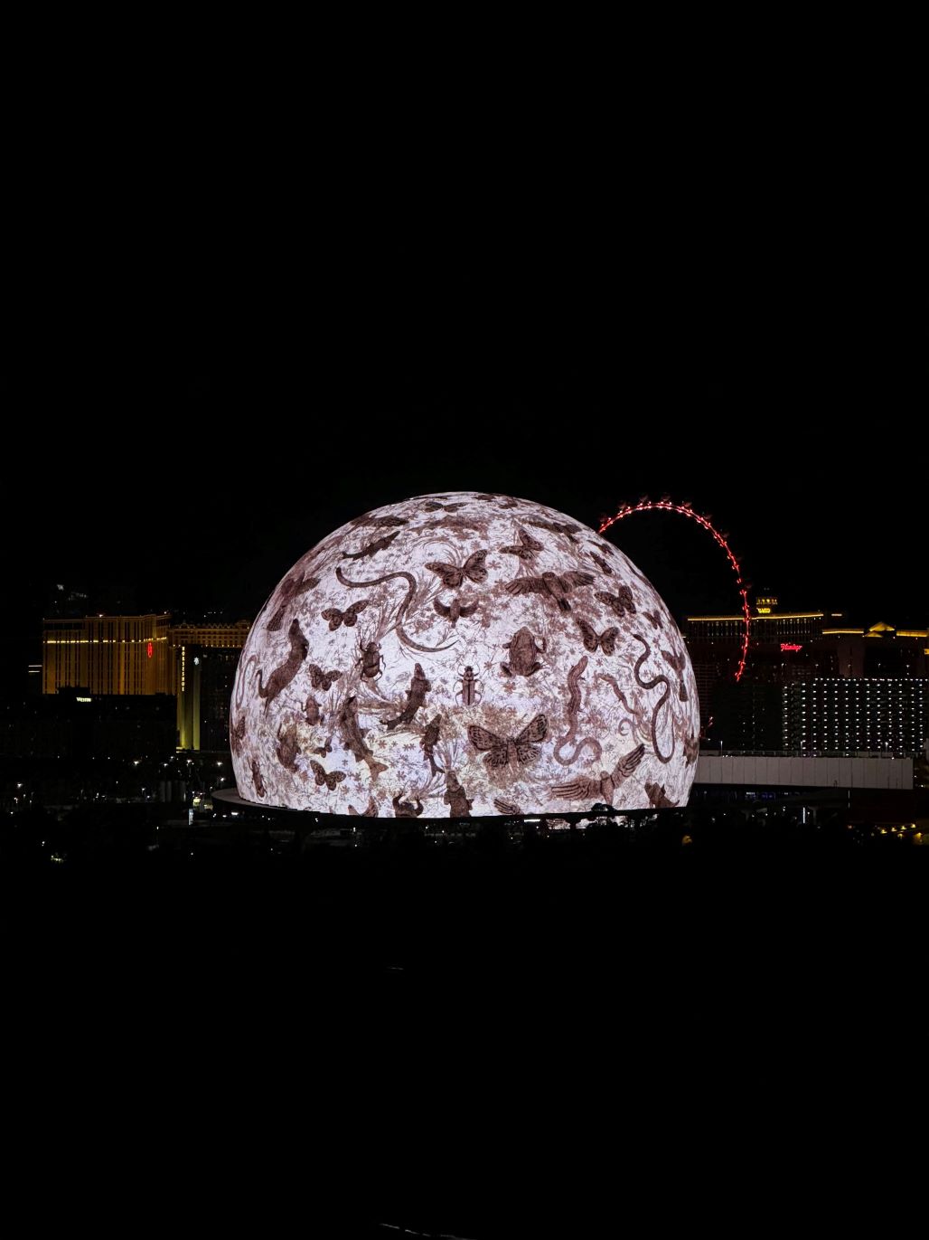 Sphere Immersive Sound - butterflies