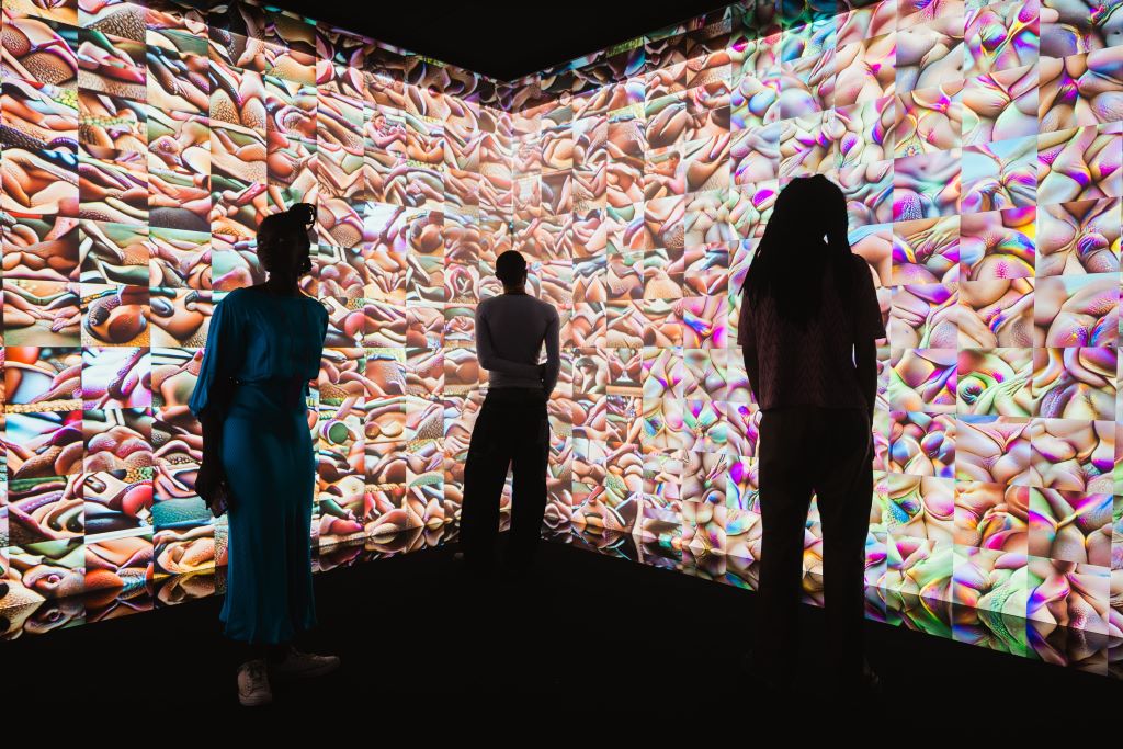 sex, desire & data - abstract art wall