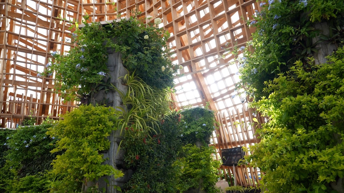 AIPH Pavilion and Garden at Expo 2023 Doha