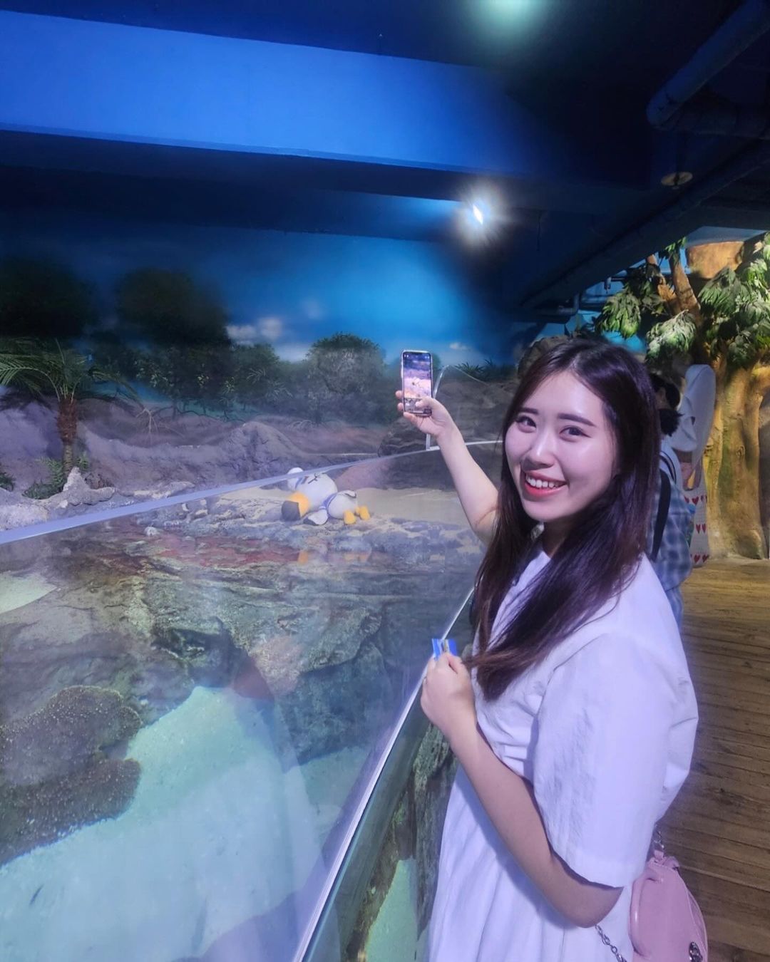 COEX Aquarium - Animal Crossing Partnership