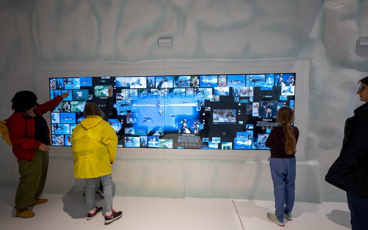 Ice Magic Wall