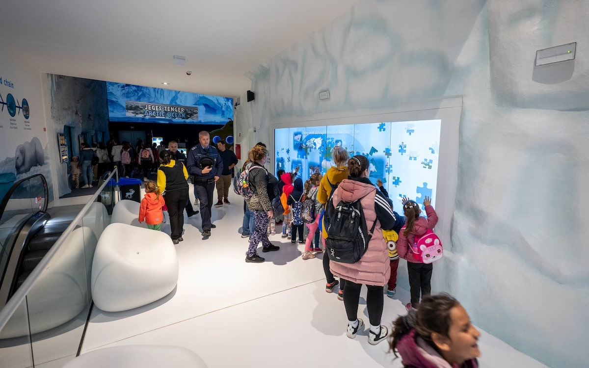 Ice Magic Wall