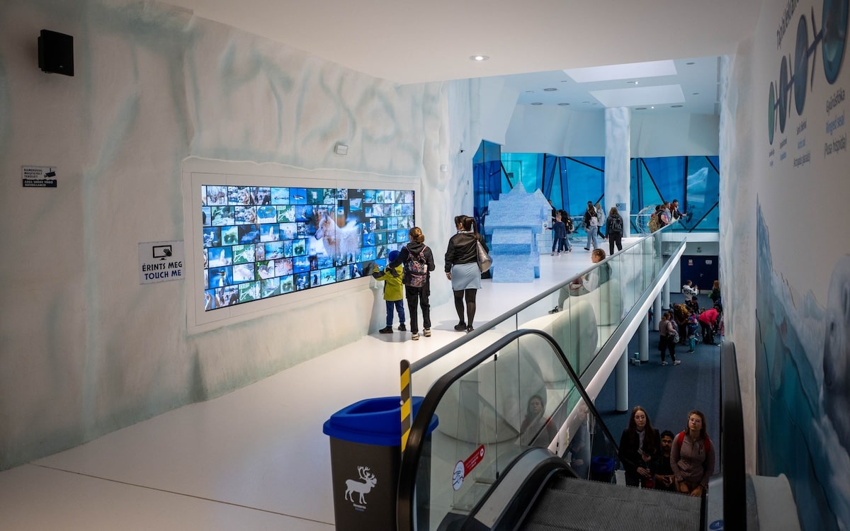 Ice Magic Wall