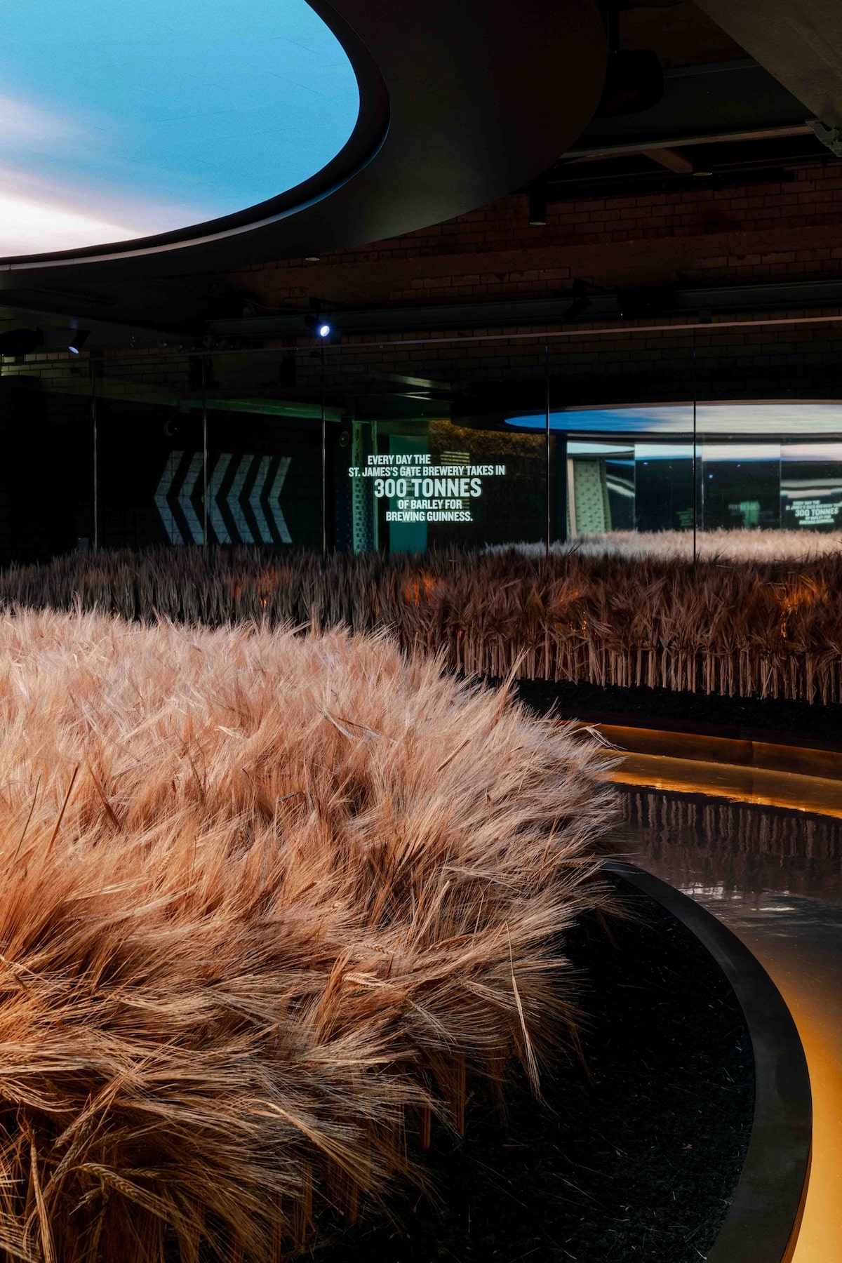 Ingredients Experience at the Guinness Storehouse Dublin 2