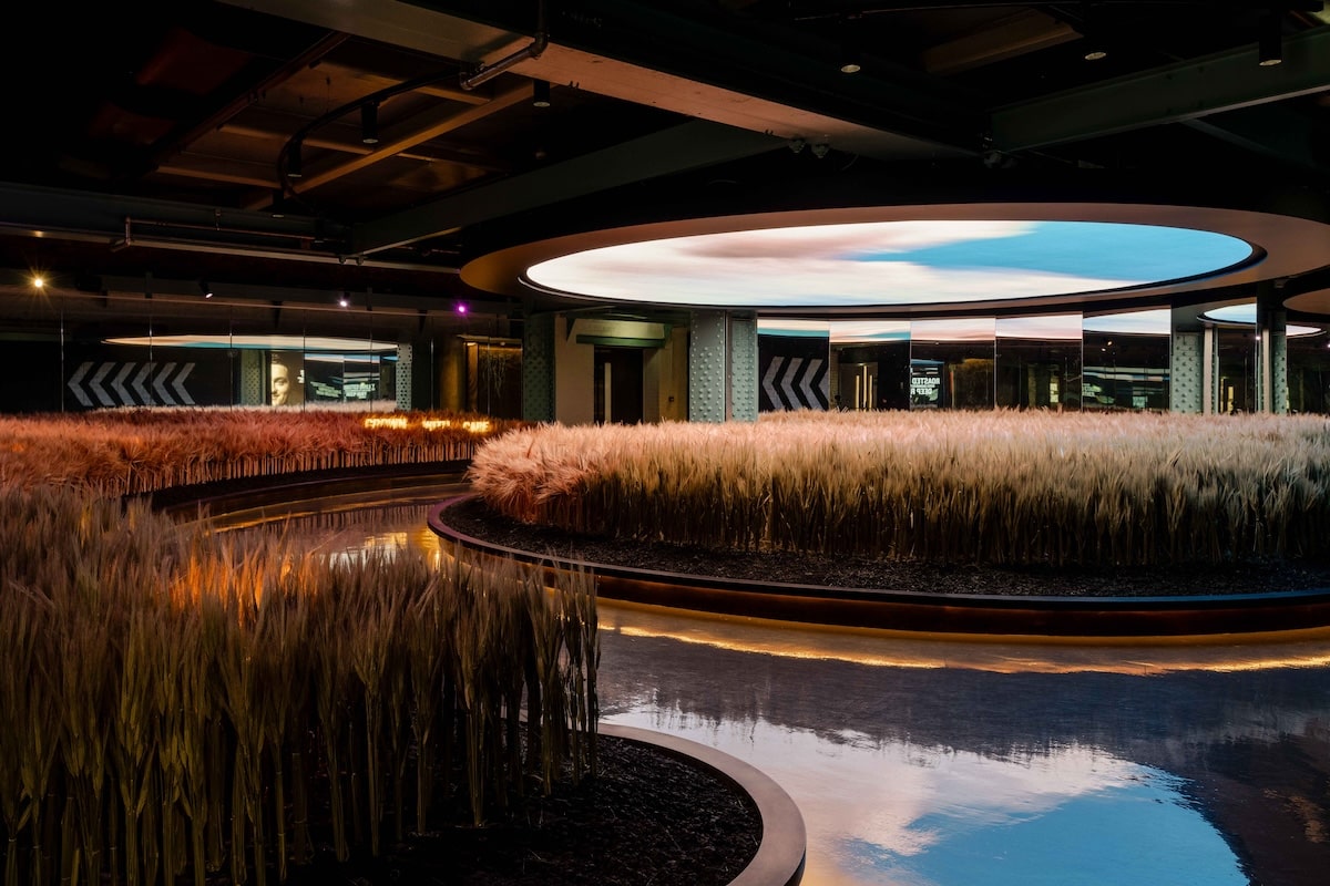 Ingredients Experience at the Guinness Storehouse Dublin 2
