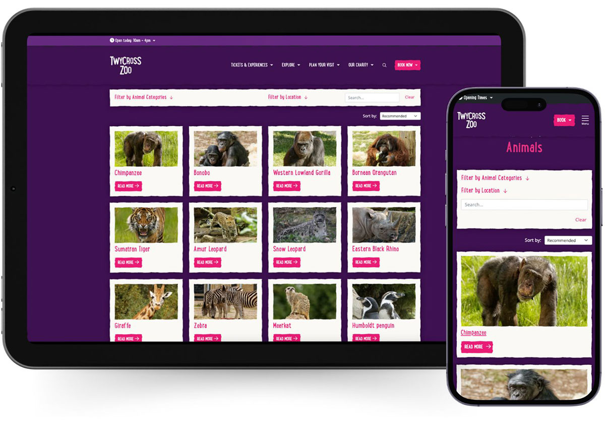 LOOP website platform for attractions by Semantic - blooloop Innovation Awards 2024