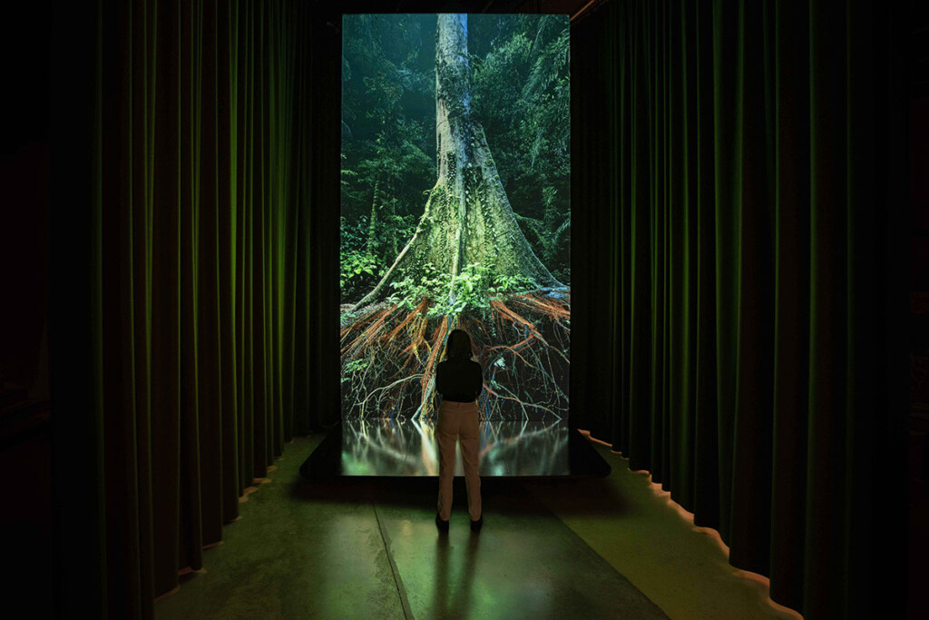 Marshmallow-Laser-Feast_Sanctuary-of-the-Unseen-Forest_Courtesy-of-artists-and-Sandra-Ciampone_4-2
