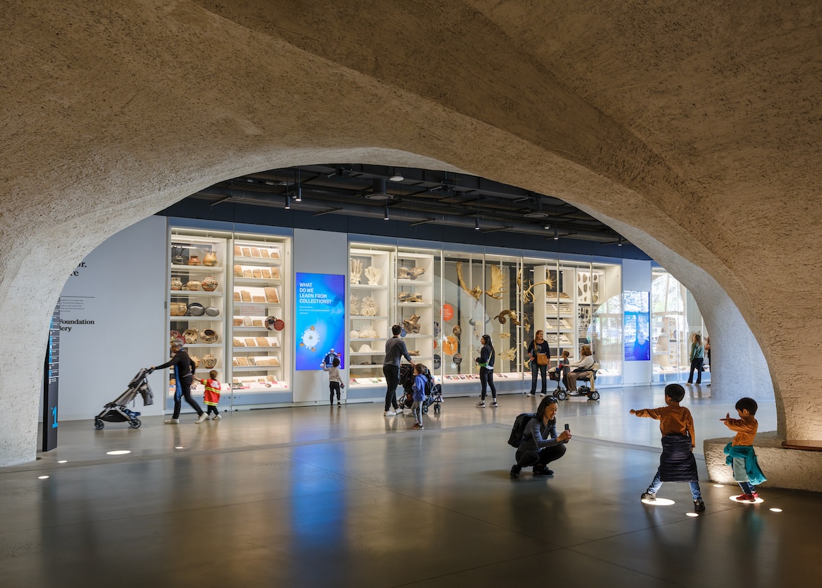 Richard Gilder Center for Science, Education, and Innovation