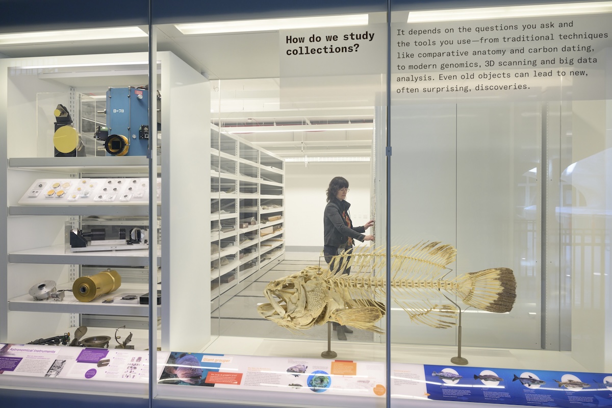 Richard Gilder Center for Science, Education, and Innovation