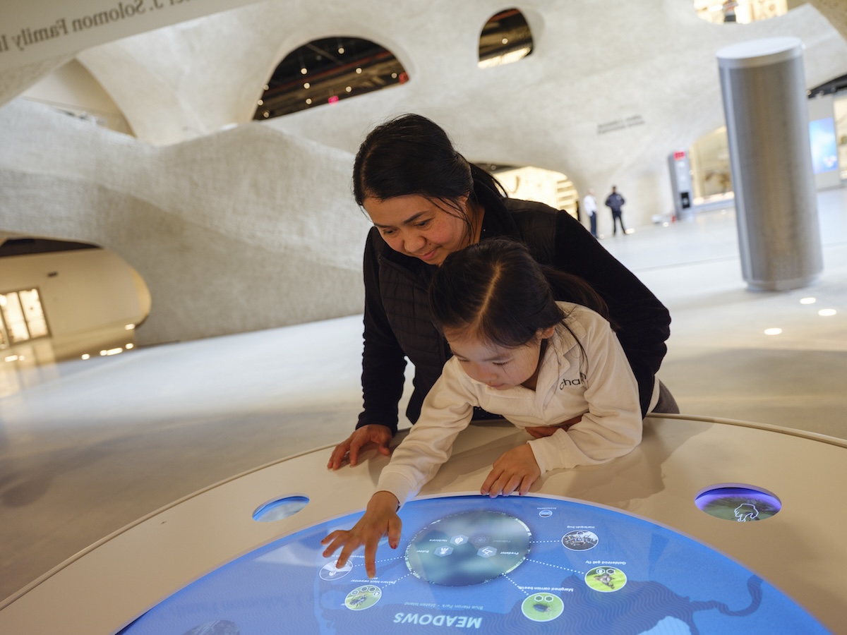 Richard Gilder Center for Science, Education, and Innovation