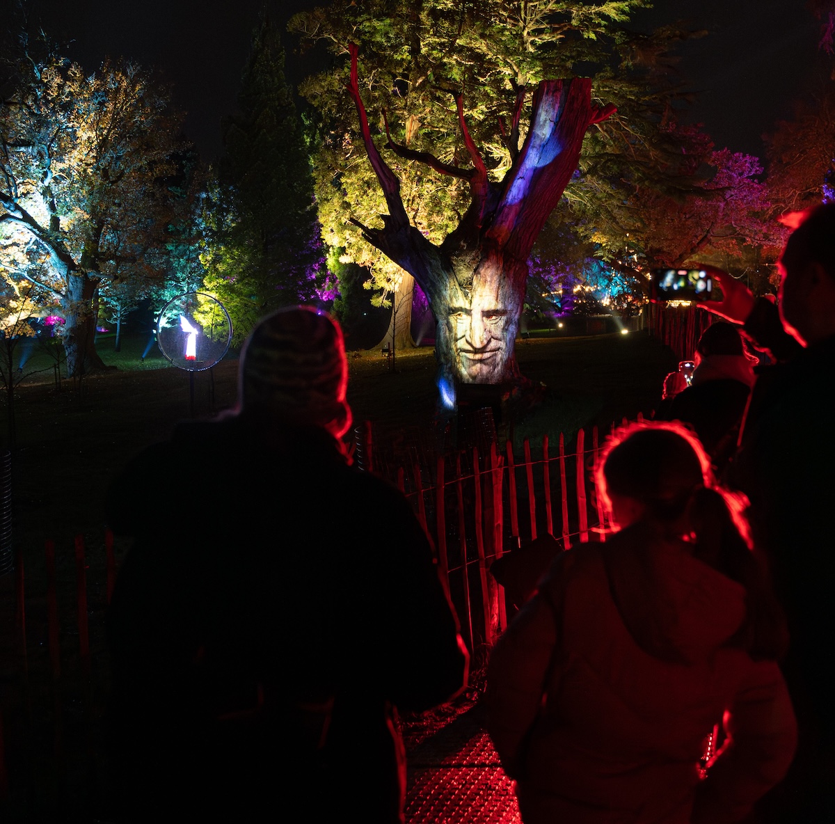 Windsor illuminated