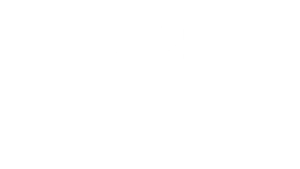 primo and moment factory logo